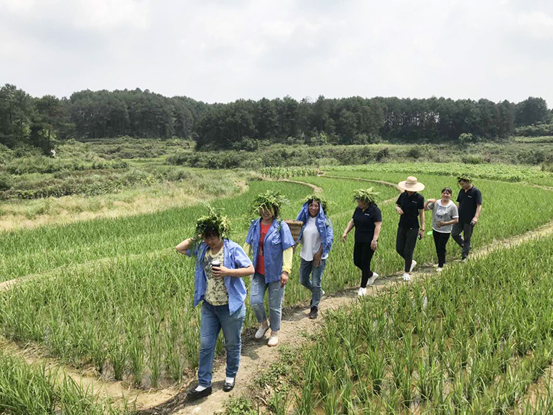 清清粽香悠悠端阳&mdash;&mdash;华兰股份子公司三海兰陵职工庆端午团建下乡活动